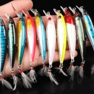 Leurres de Pêche dur