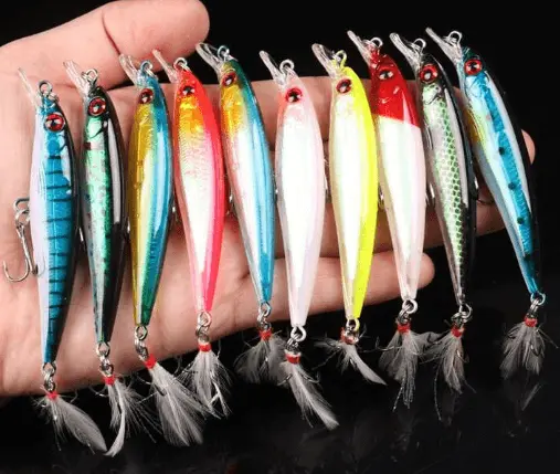 Leurres de Pêche dur